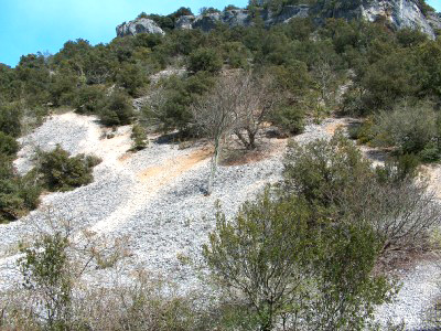 2006-04-23 Paddeln Osterurlaub an der Ard�che 062