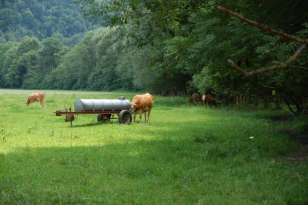 2006-07-07 Paddeln Sommerurlaub �sterreich Slowenien C 031