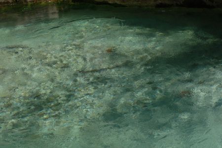 2006-07-07 Paddeln Sommerurlaub �sterreich Slowenien K 099
