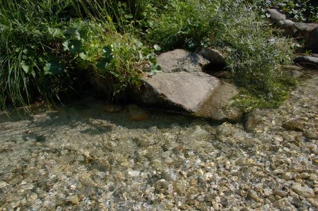 2006-07-07 Paddeln Sommerurlaub �sterreich Slowenien L 082