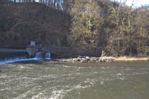 2008-02-09 Paddeln Wupper Fr�hlingsfahrt (166)