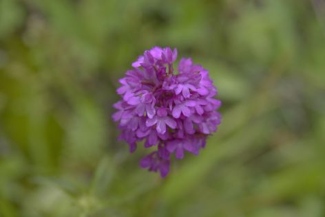 2008-06-30 Paddeln Sommerurlaub Bayer �sterreich 255
