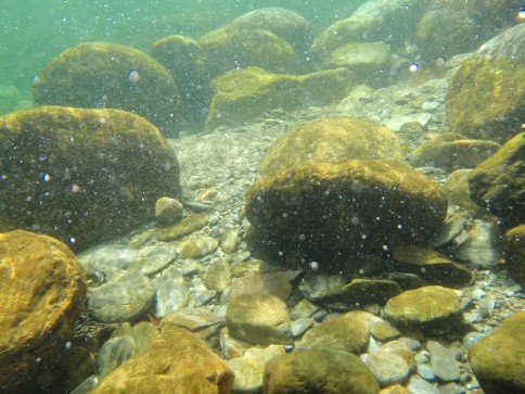 2010-04-01 Paddeln Drobie 009
